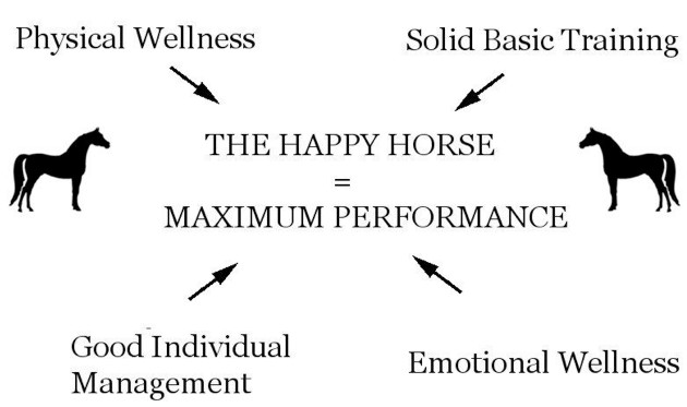 The Happy Horse